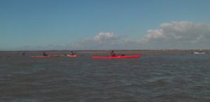 fiers d'ars; ile de ré; ré, kayak