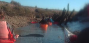 kayak; fiers d'ars; ile de ré; ars en ré